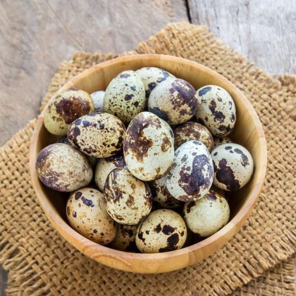 1Kg TELUR PUYUH FRESH / TELUR PUYUH KONSUMSI 1Kg / TELUR PUYUH FRESH LANGSUNG DARI KANDANG