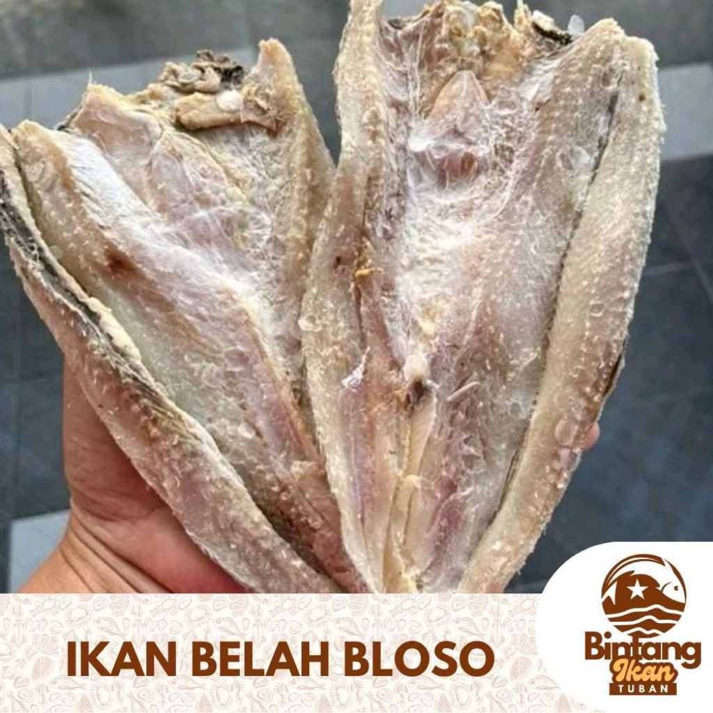 ikan asin bloso gabus kualitas super