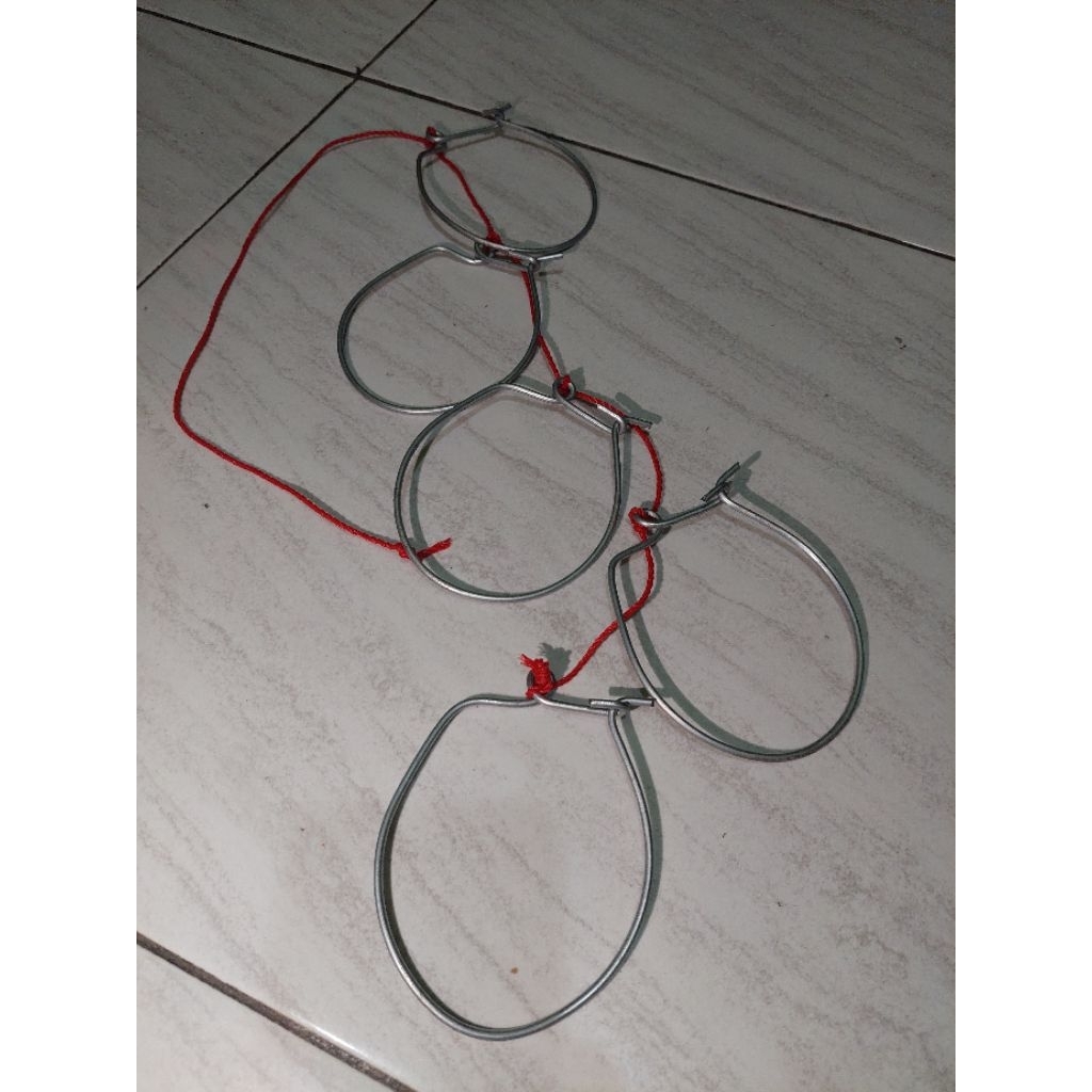 sunduk ikan cantolan ikan 5 pcs