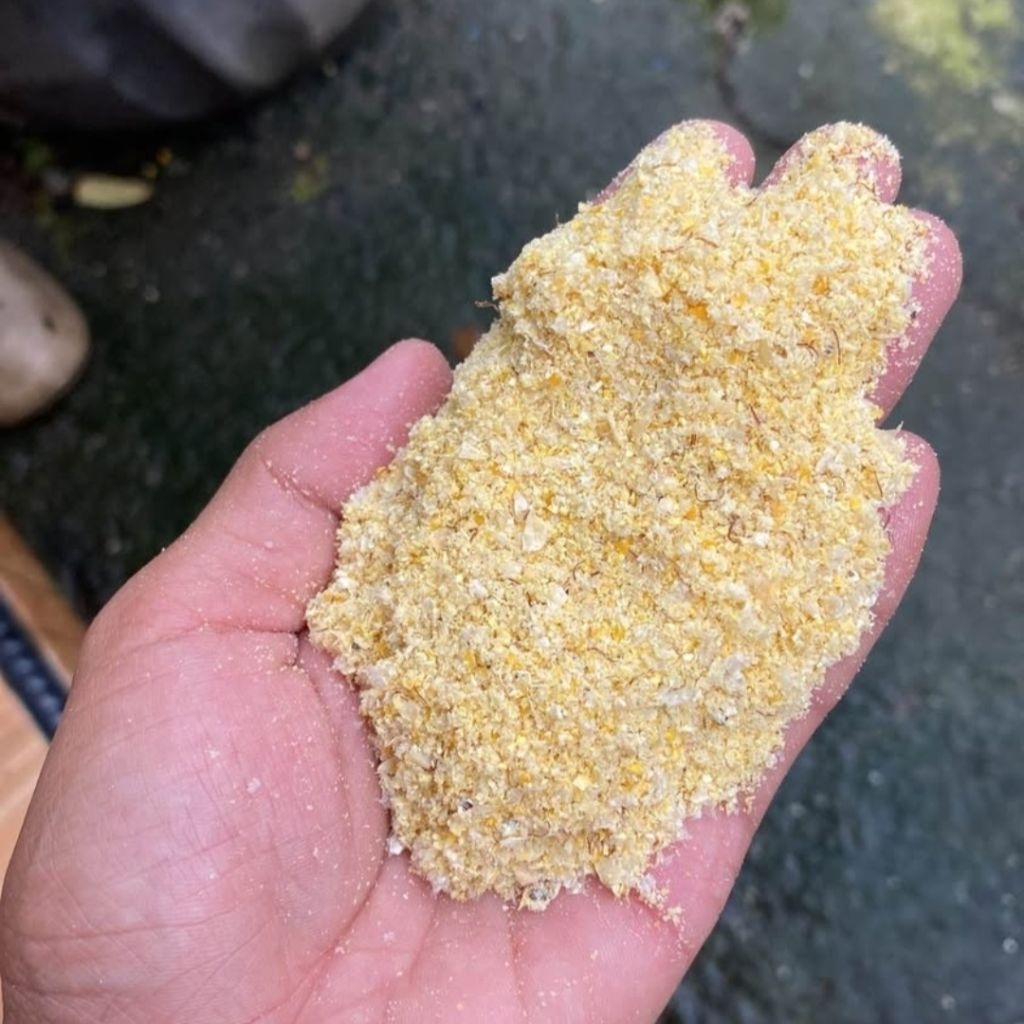 Dedak jagung pakan ternak murni jagung 1kg tepung jagung pakan ternak dedak bekatul jagung bekatul j