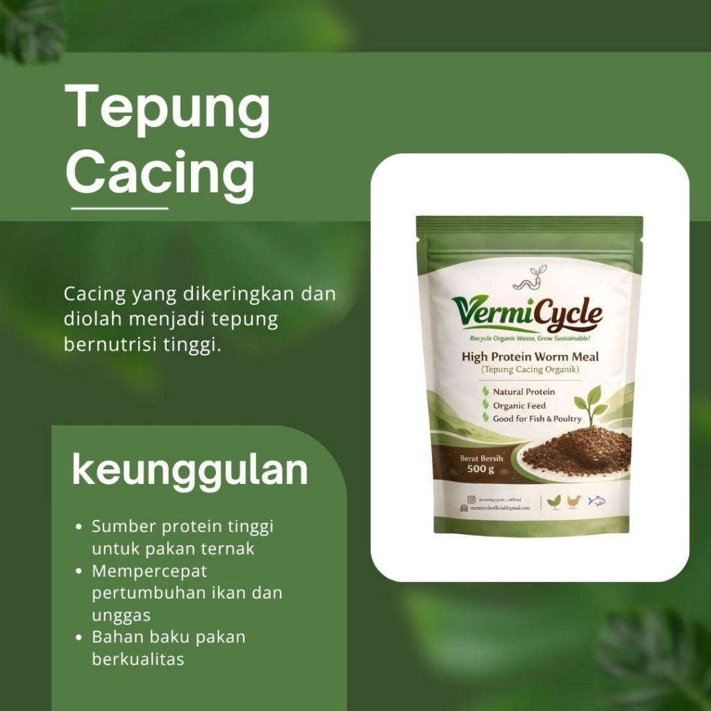 TepungCacing