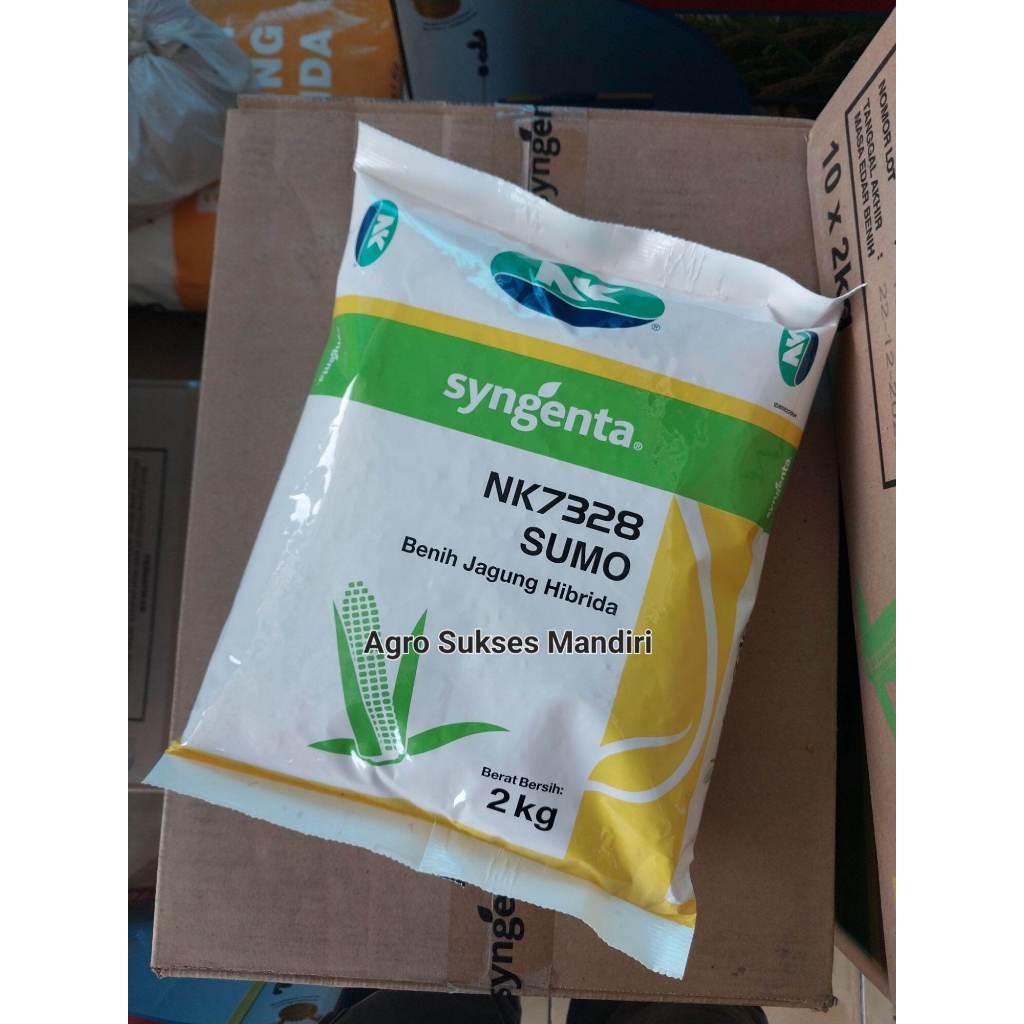 RAMADHAN-BENIH JAGUNG HIBRIDA NK SUMO 1 KG - Bibit Jagung NK 7328 SUMO