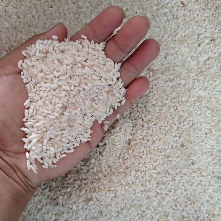 BERAS KETAN PUTIH KAMPUNG ASLI SIPIROK PULEN