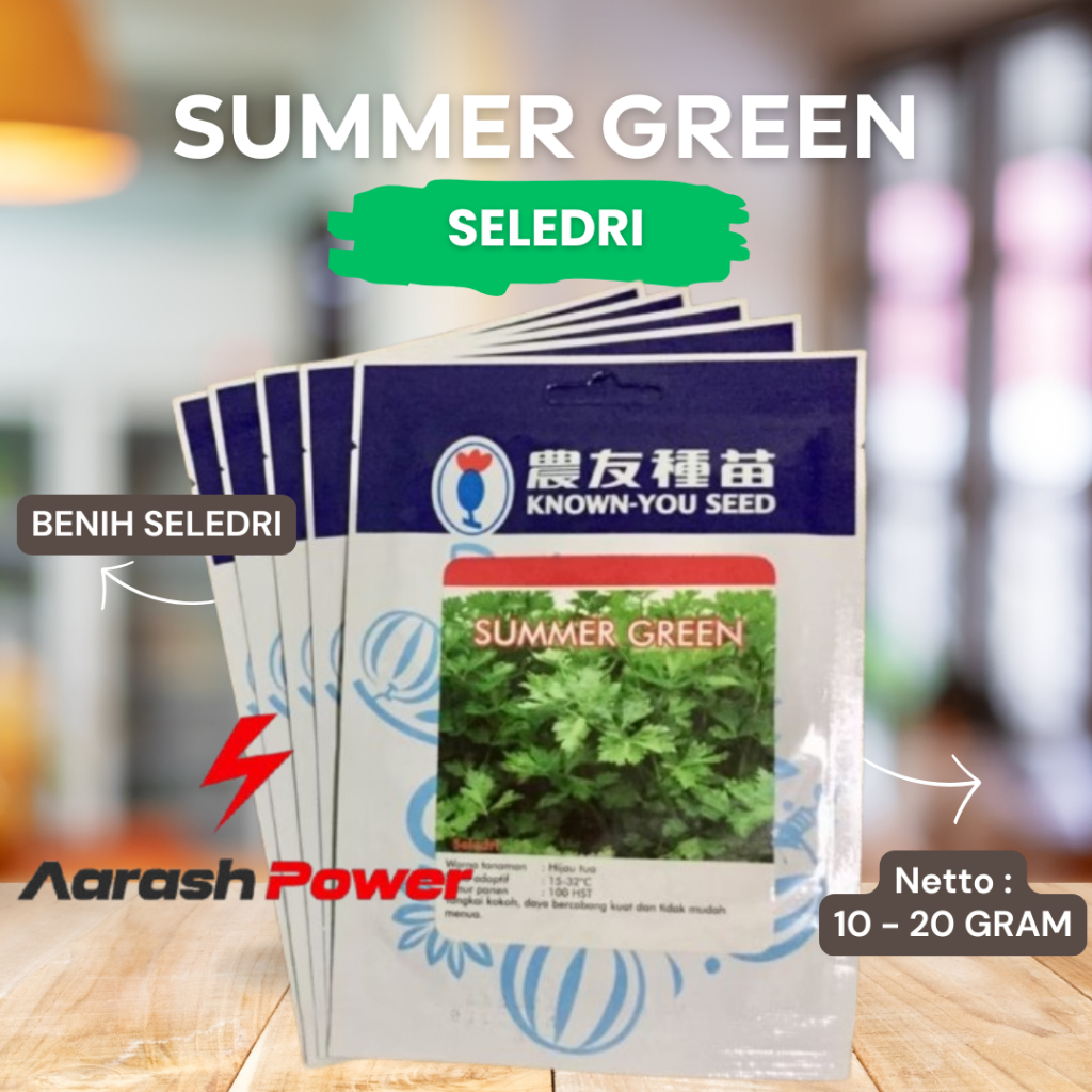Benih Seledri SUMMER GREEN [ 10 - 20 Gram ] KNOWN YOU SEED - unggul hibrida kemasan packing asli ori