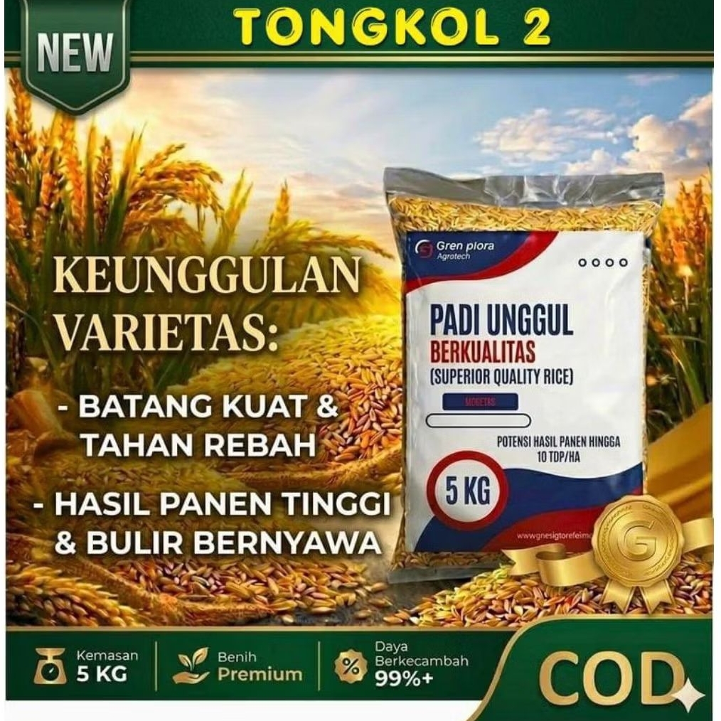 Benih padi unggul,bibit padi tongkol 2 kemasan 5 kg terbaru  pasti nya original