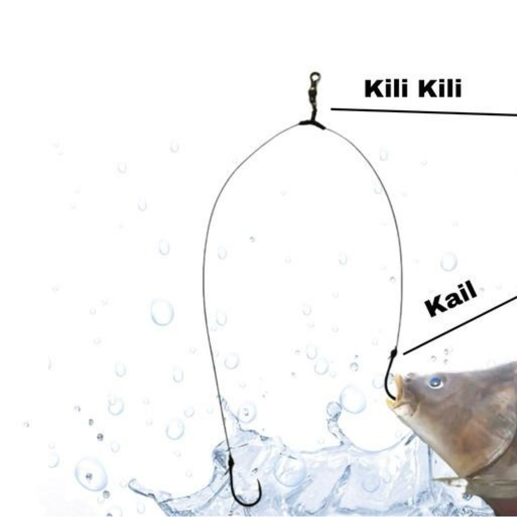 rangkaian pancing T untuk ikan patin kail daichi
