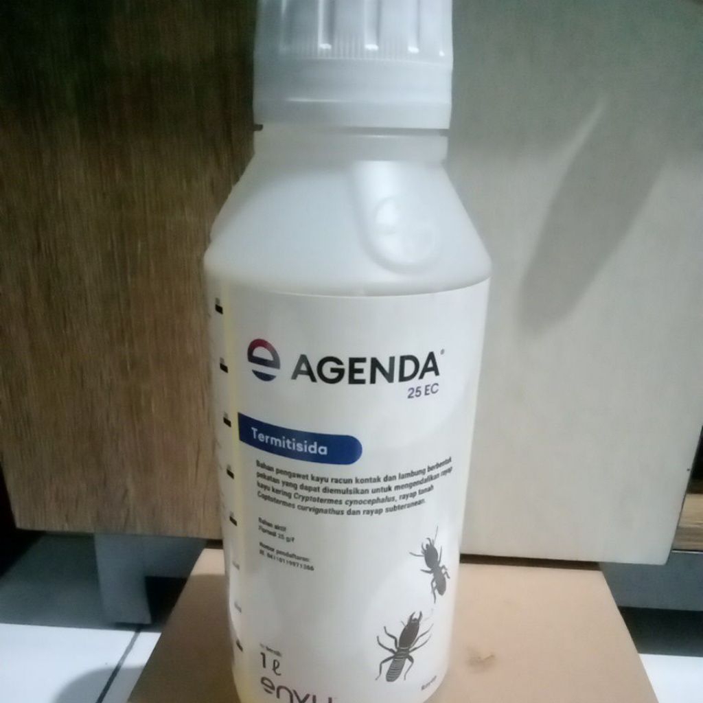 Agenda 25 EC