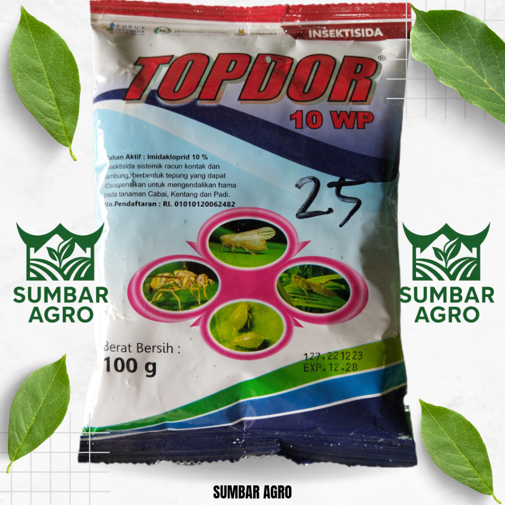 TOPDOR 10wp // Insektisida sistemik // hama kutu daun, kutu kebul, thrips // imidakloprid