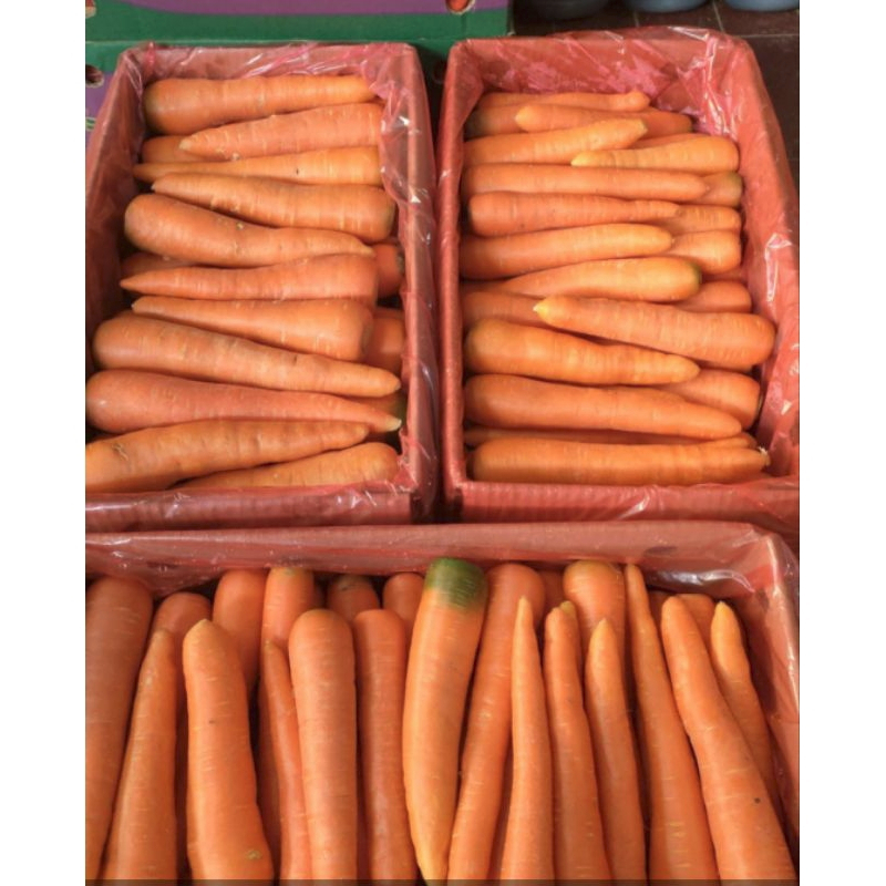 Wortel Brastagi 1 Dus 10 Kg - Segar