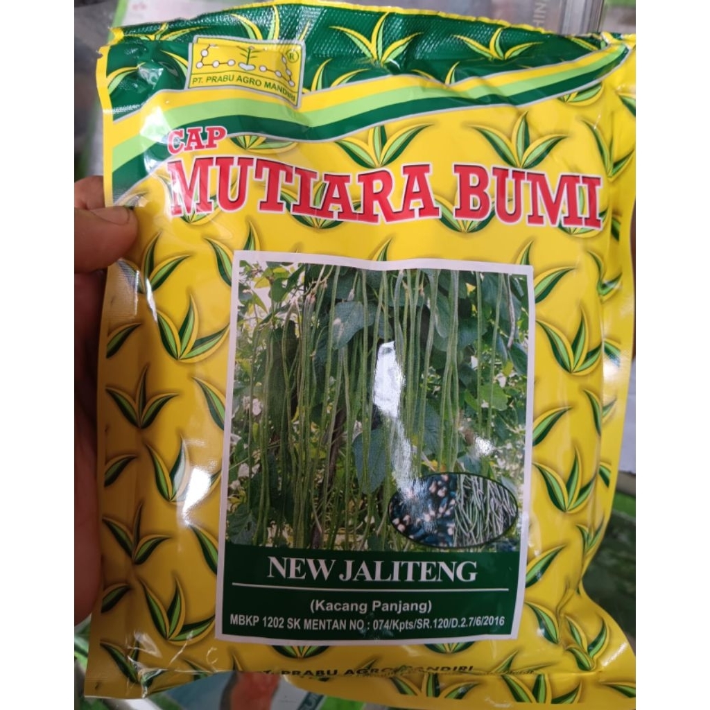 benih unggul Kacang panjang new jaliteng isi 500 gram
