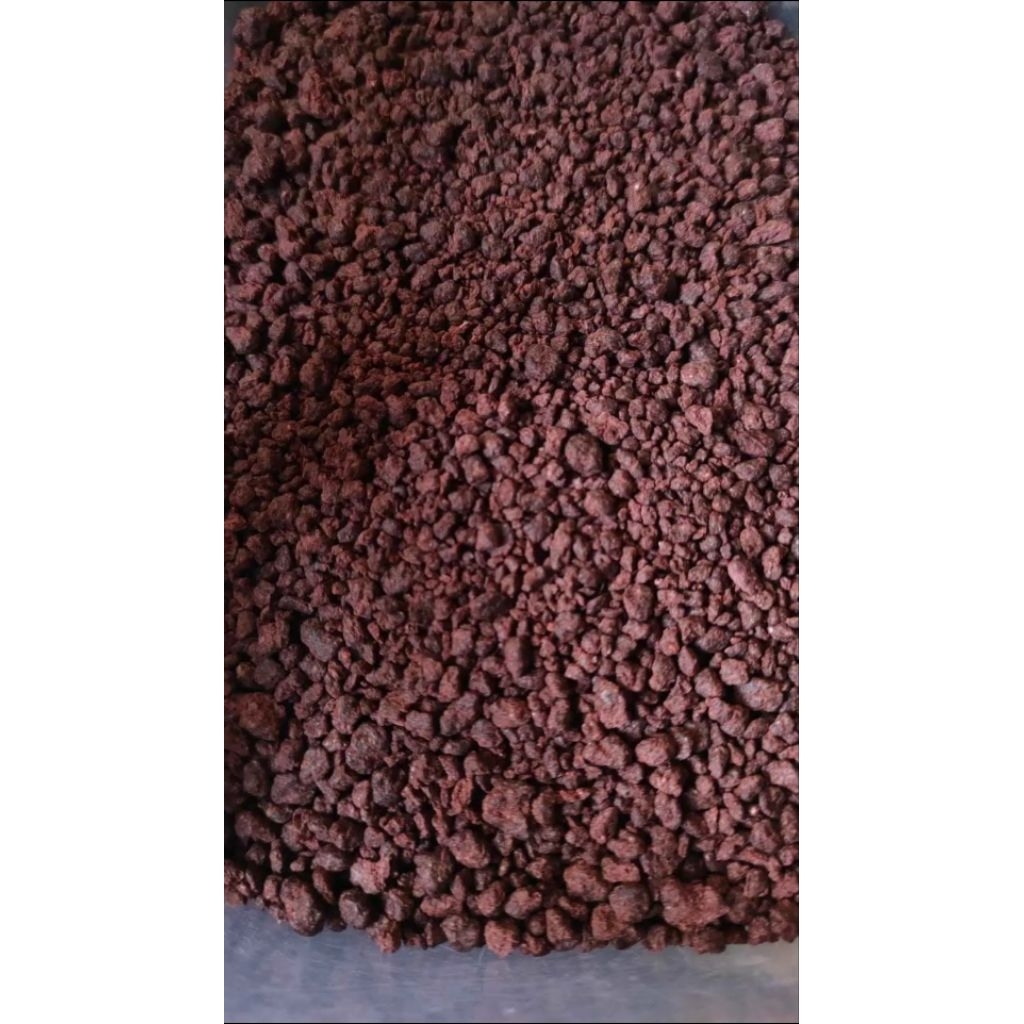 Terasi khas tuban (Shangrai) 100gr