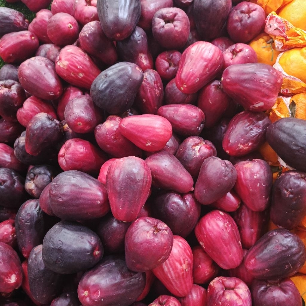 Jambu Bol Segar
