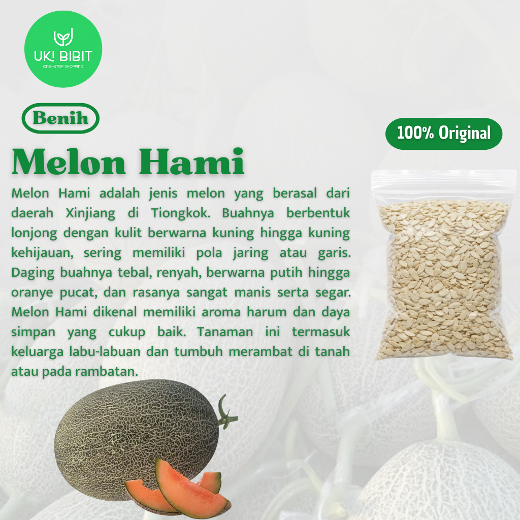 ( 5 Butir ) Benih Biji Melon Hami | Hami Gua | Melon Hami Xinjiang