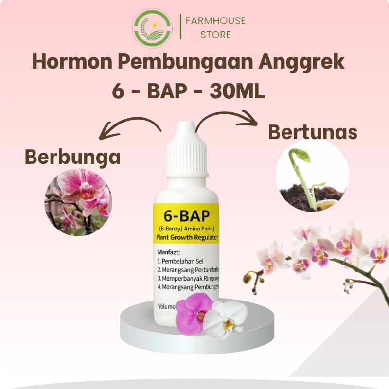 [TERLARIS] BAP 6 ZPT Sitokinin Perangsang Bunga & Tunas Pupuk Hormon Tanaman Booster Tunas Cepat