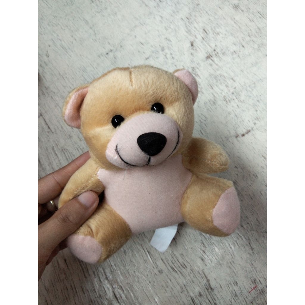 Boneka Teddy kecil /boneka beruang mini