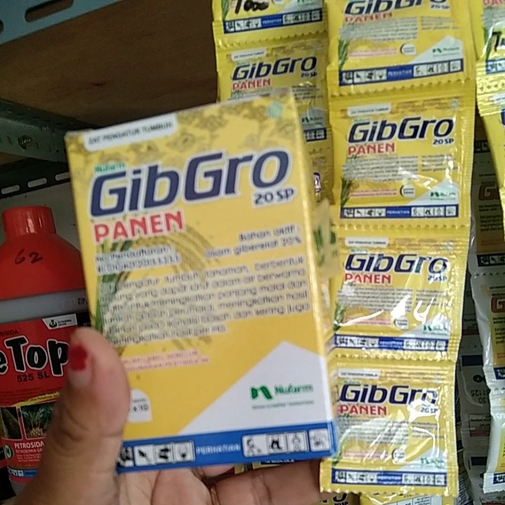 Gibro Panen