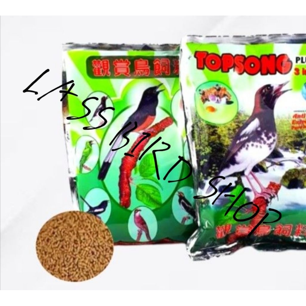 VOER BURUNG TOP SONG TOPSONG COKLAT/PUR TOPSONG COKLAT