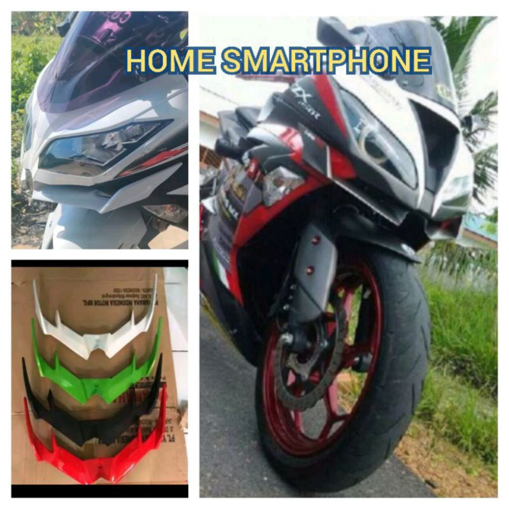 Winglet Kawasaki ninja 250 fi 300 fi model zx-636