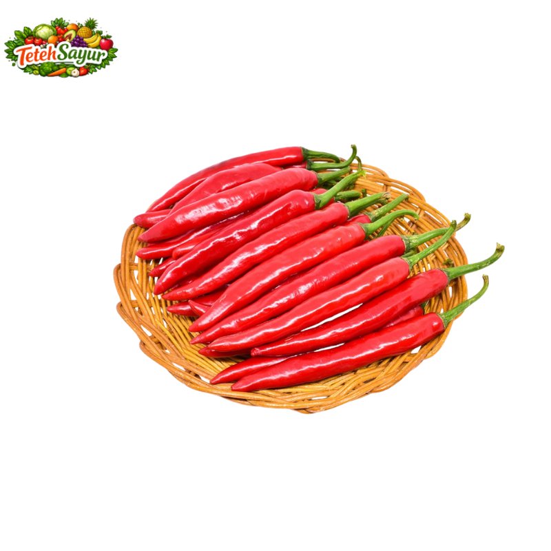 CABE MERAH BESAR / CABE TW MERAH