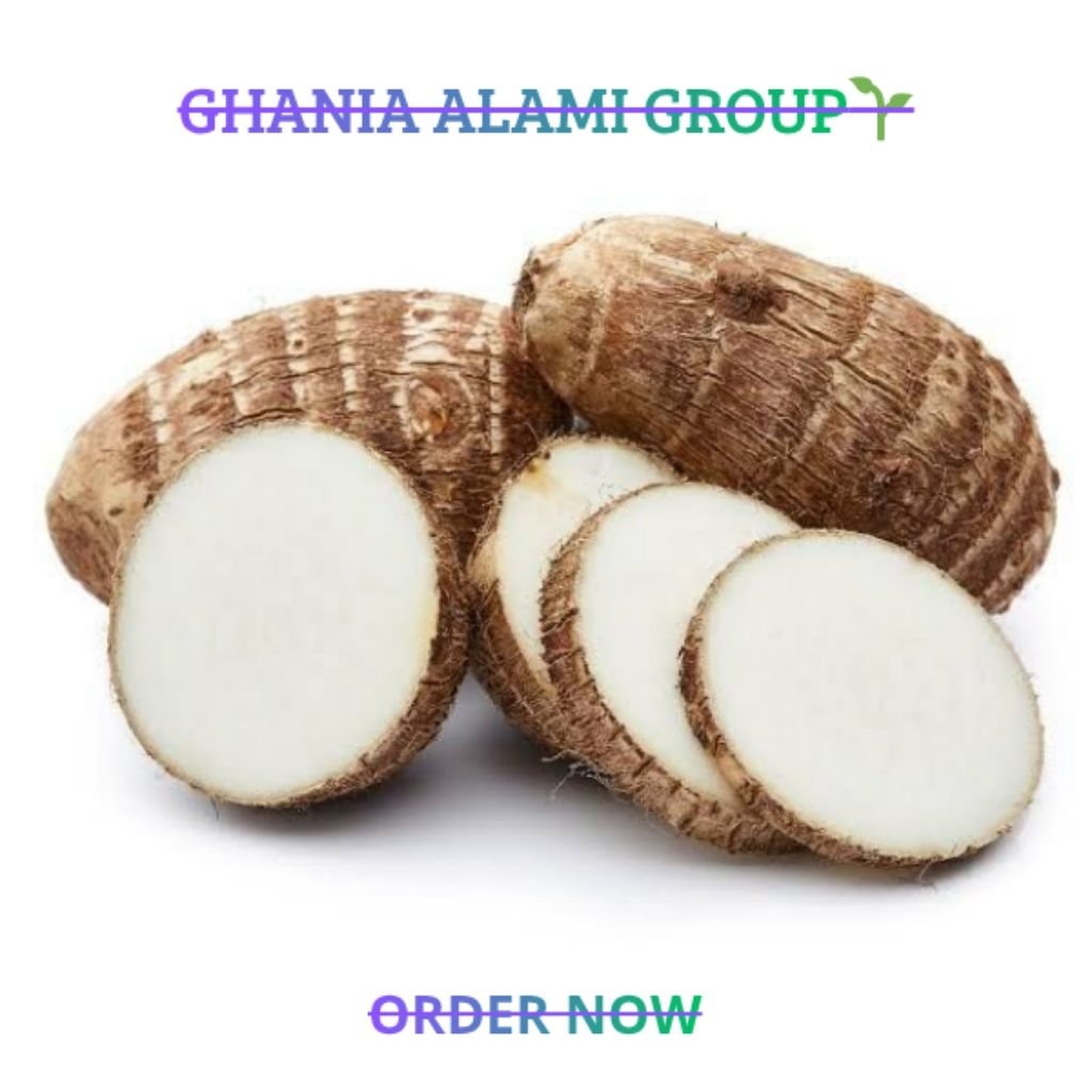 [PREMIUM] Umbi Talas Bogor Asli (Talas Sutra) 1Kg Pulen