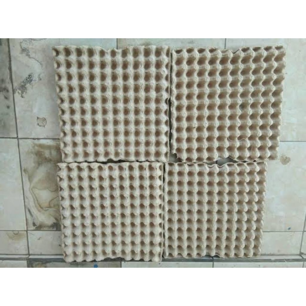 Egg Tray Karton Bekas - Praktis, Ekonomis, 10 Lembar