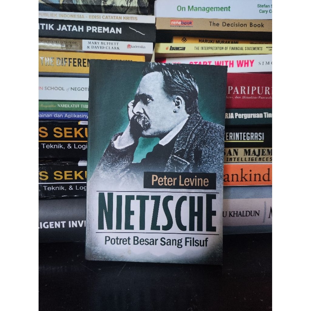 Nietzsche - Peter Levine