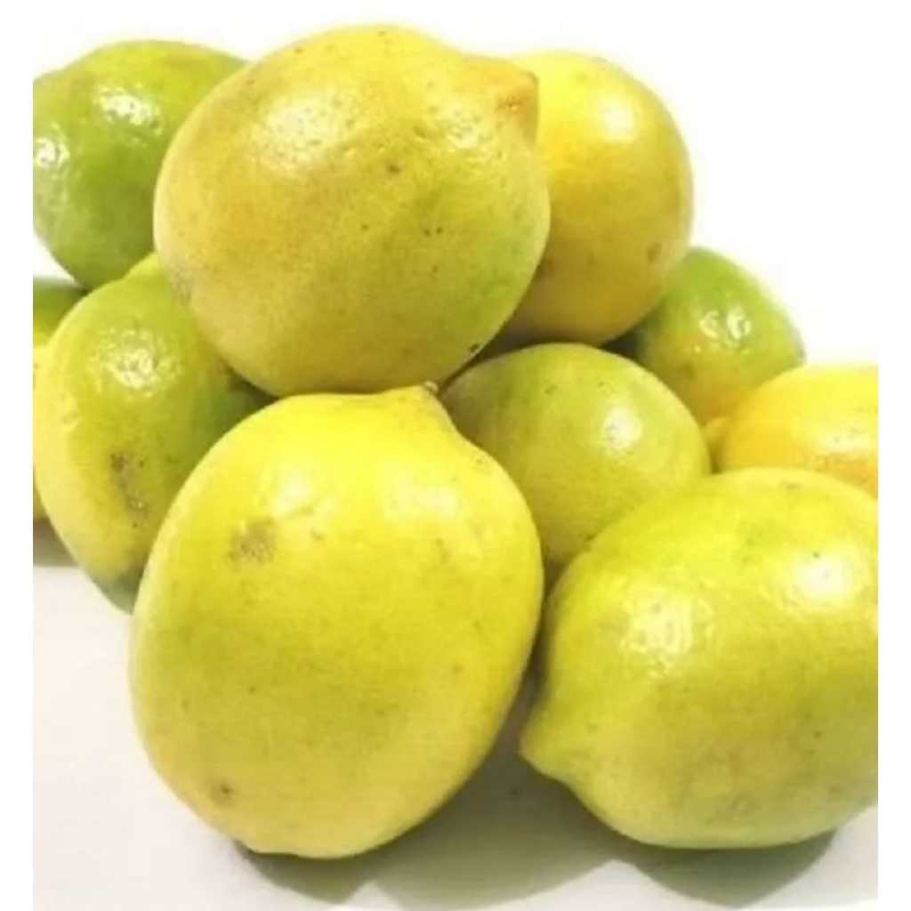 Buah Lemon Lokal