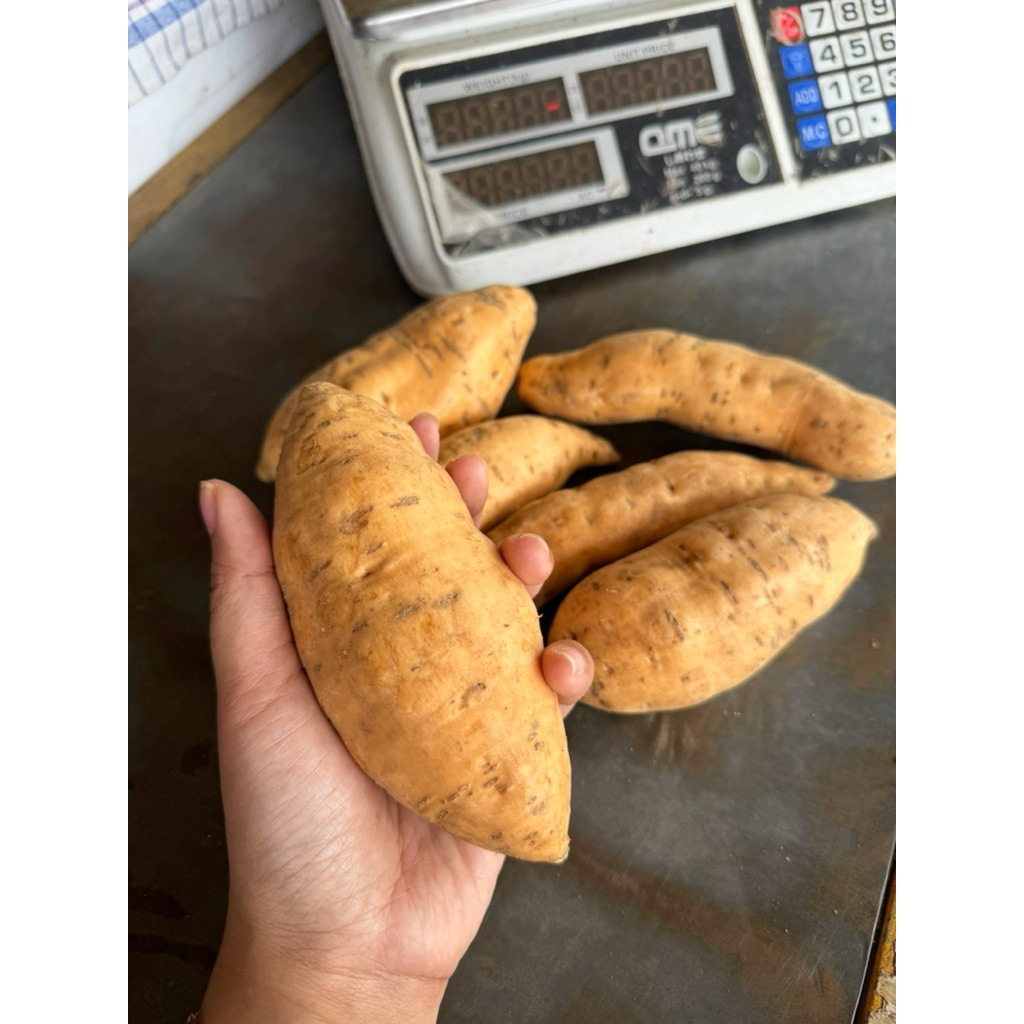 Si Manis Ubi Madu Oven Mentah 0,5kg / Ubi Madu Cilembu / Ubi Asli Tawangmangu