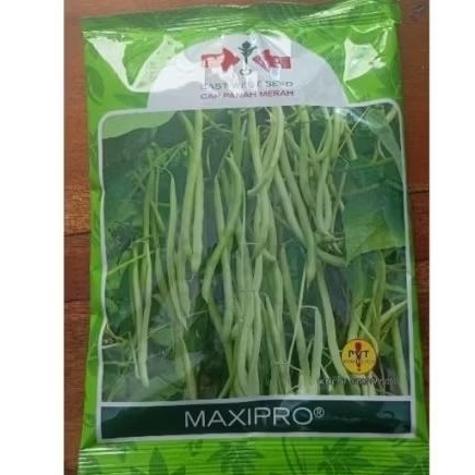 Benih Buncis Panah Merah Maxipro
