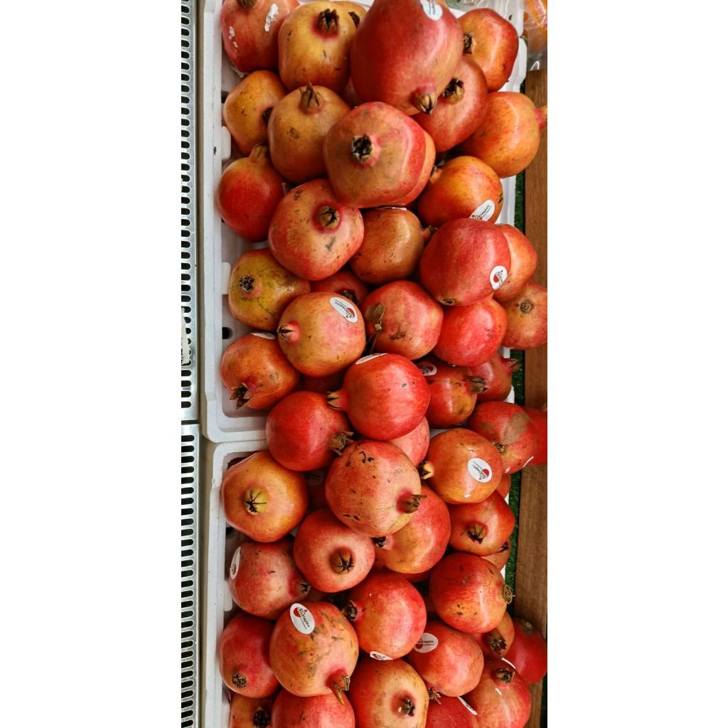 Delima Merah Pomegranate per buah / per kg Import Delima Fresh Bandung