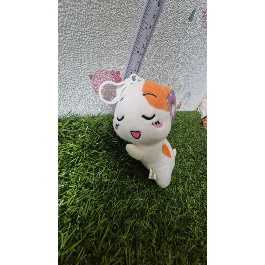 ganci ebichu