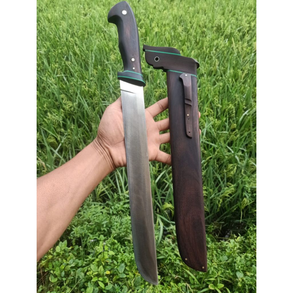 HSS Julia CO5