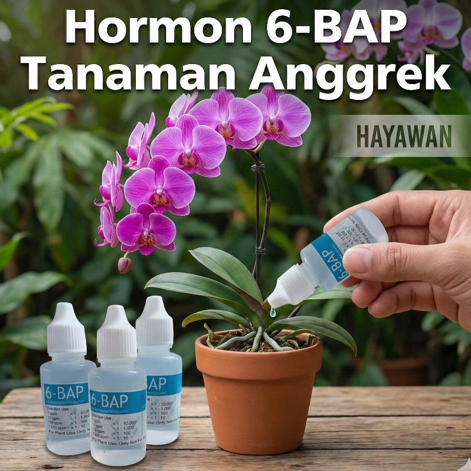 [ HORMON 6-BAP 30ml BIRU ] Benzylaminlpurine Untuk Tanaman Anggrek Merangsang Pertumbuhan Tunas Tana