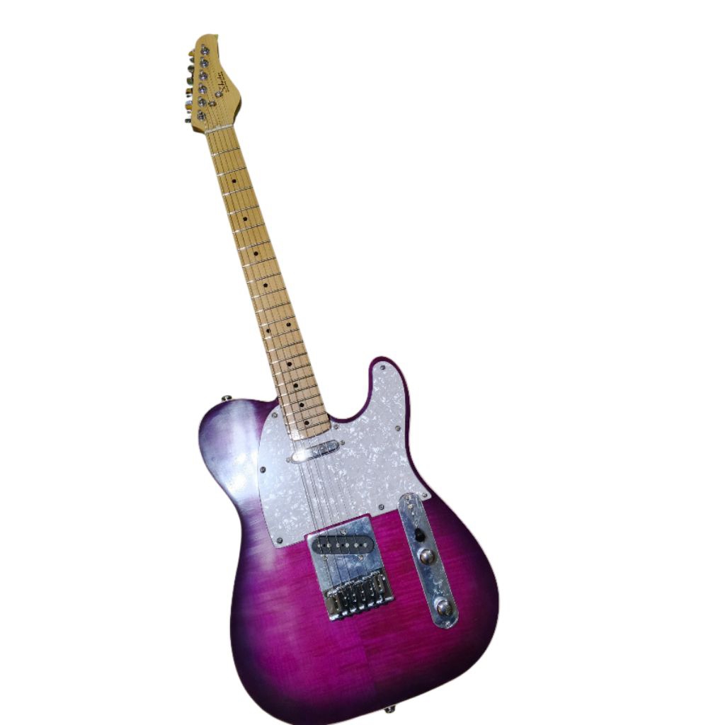 gitar elektrik schecter telecaster model