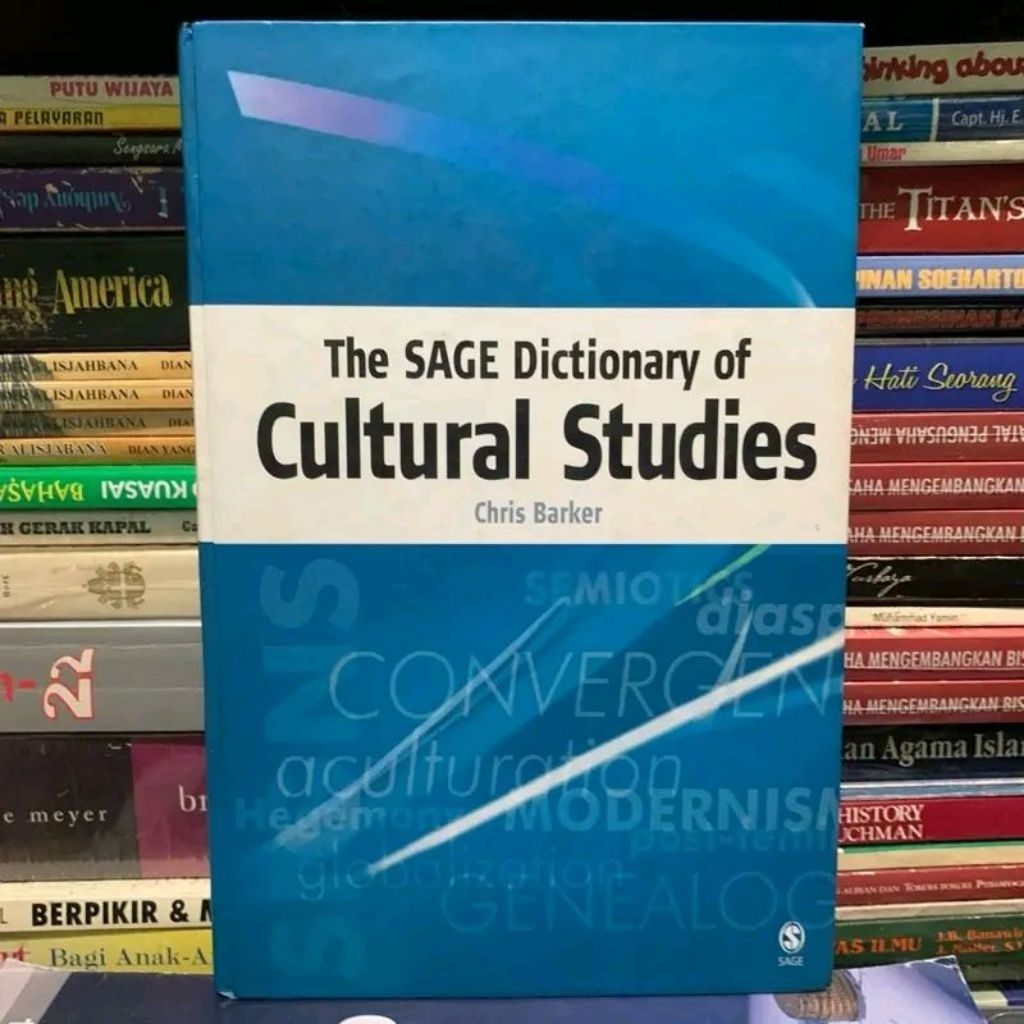 The sage dictionary of cultural studies by Chris barker ORIGINAL