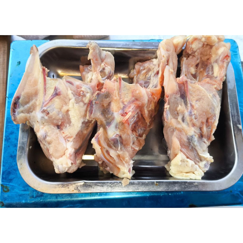 Kerongkongan Tulang Ayam