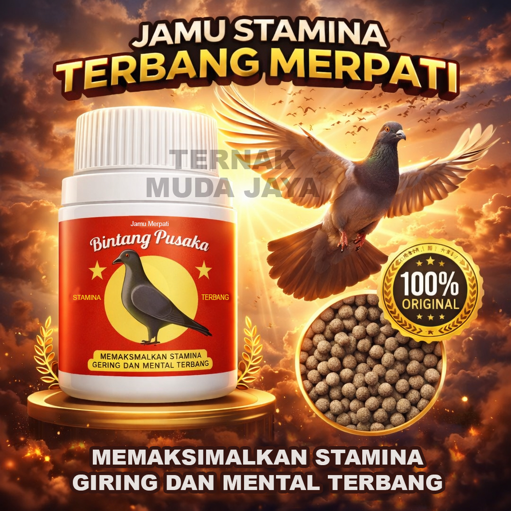 Jamu merpati JUARA Pil Merpati Stamina Terbang Balap Kolong Tinggi mental dan giring Ternak muda