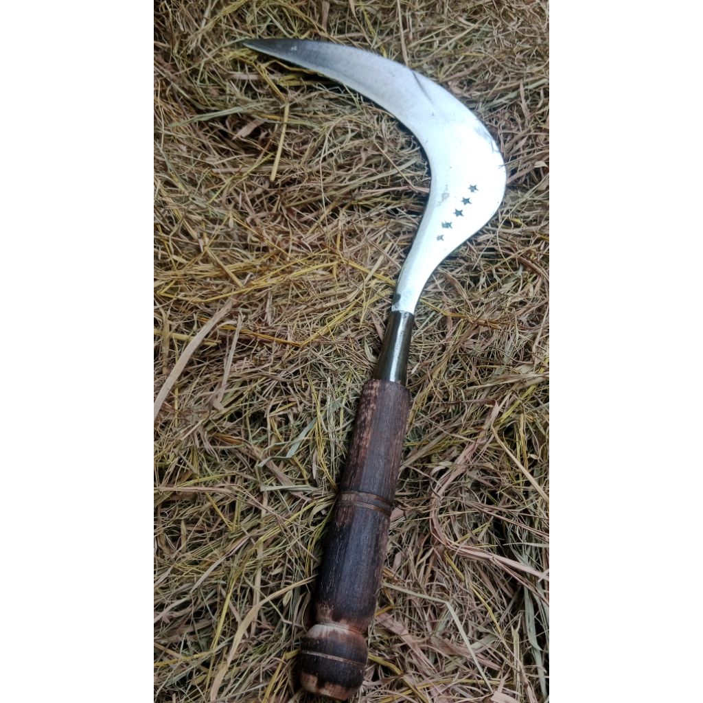 Sabit Rumput Bintang 5 Kualitas Terbaik