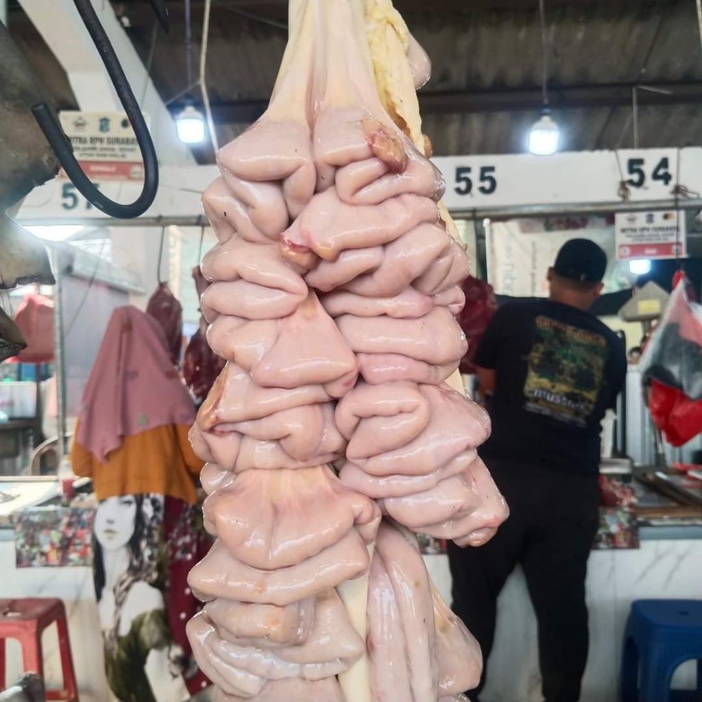 usus sapi