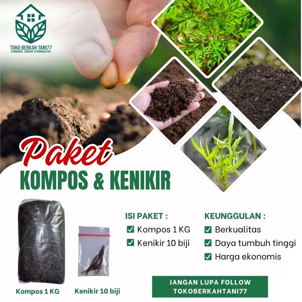 Benih Kenikir Siap Tanam Benih Sayur Kenikir Siap tanam