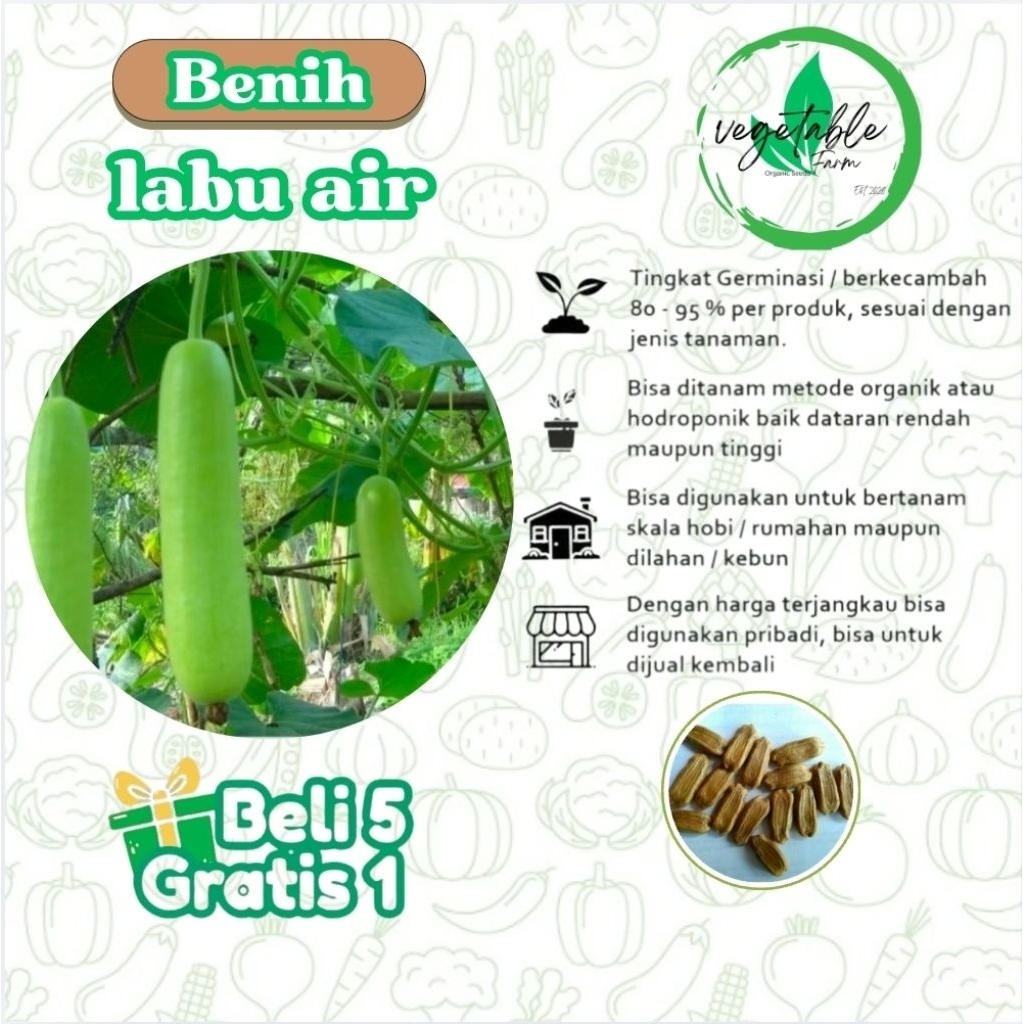 5 BIJI - Benih labu air balistik / bibit labu air / labu air pendek