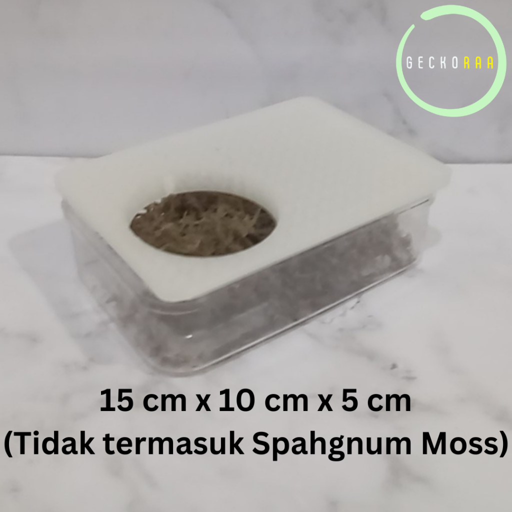 Tempat Sembunyi Lembap Humid Hide Transparan Reptil Gecko AFT