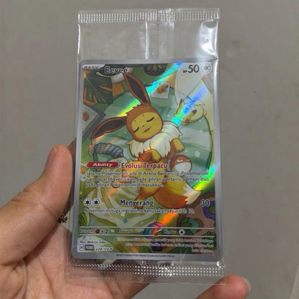 Kartu Pokemon Eevee Bobo Eevee Promo 228/SV-P