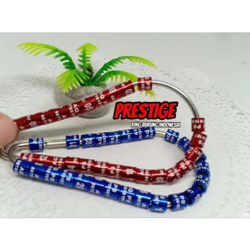 RING LASER STANDART BISA BUAT BURUNG MURAI TRUCUK MERPATI NURI PERKUTUT LOVE BIRD KACER CUCAK IJO CE