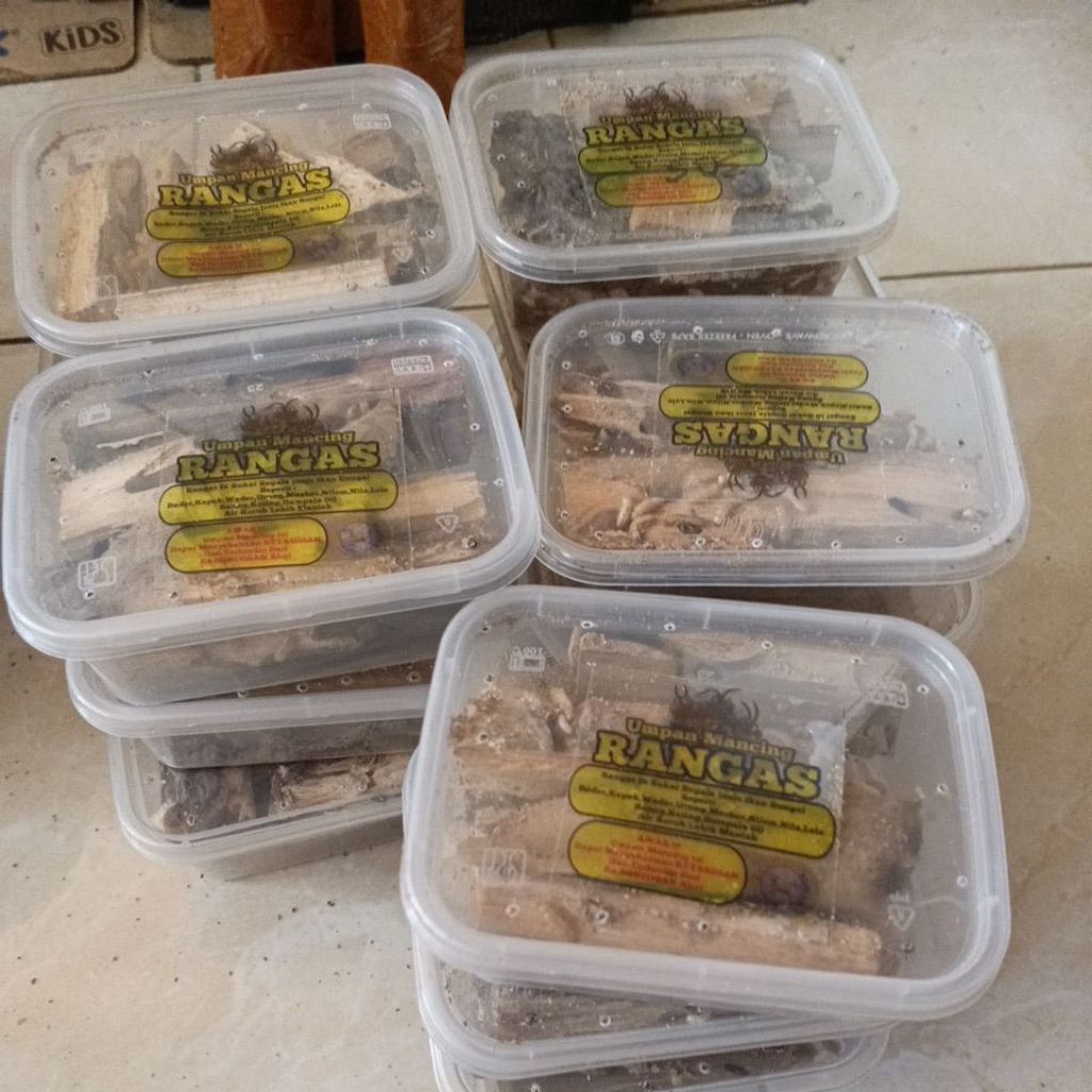 Rangas/Laron/Rayap/Samperro/Poa/ Umpan Mancing Wader  atau ikan micro