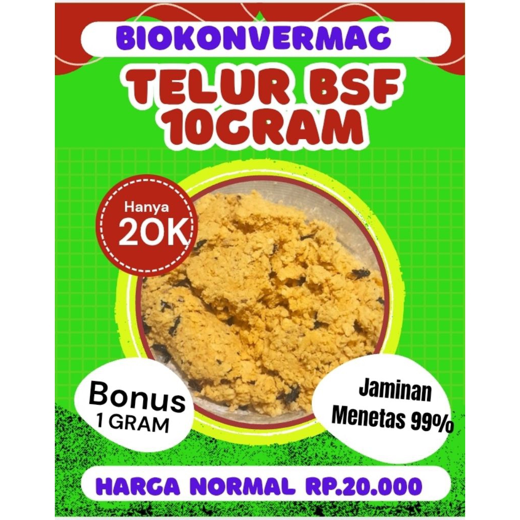 Telur BSF Promo  10 Gram 20.000,pengiriman menyesuaikan antrian