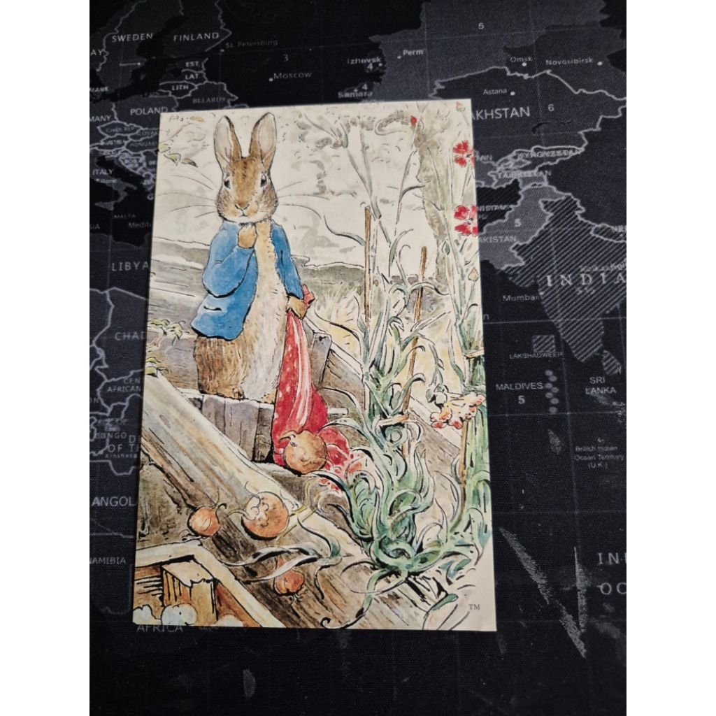kartu pos peter rabbit ilustrasi kelinci postcard
