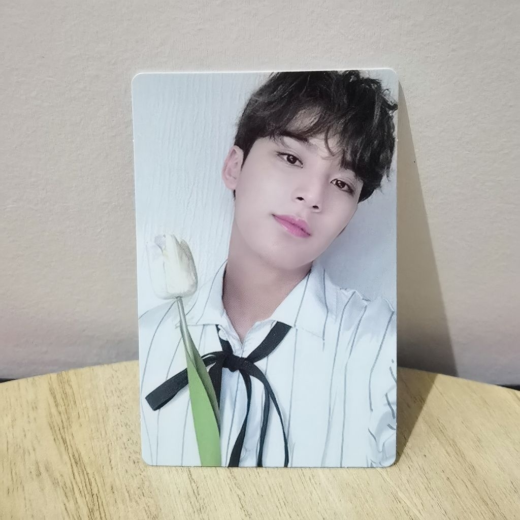 Official photocard mingyu an ode the poet ver white bunga mingyu an ode seventeen