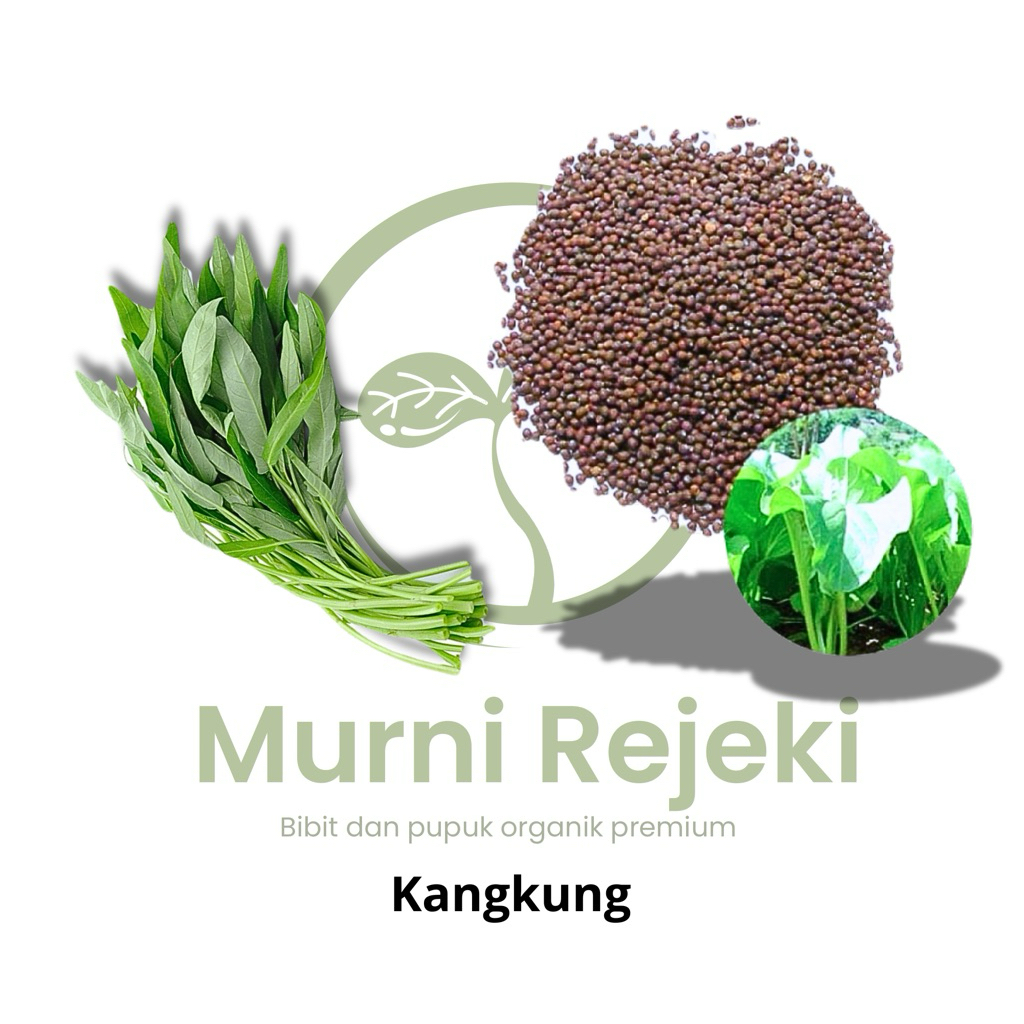 Benih bibit kangkung / Benih hidroponik sayuran premium