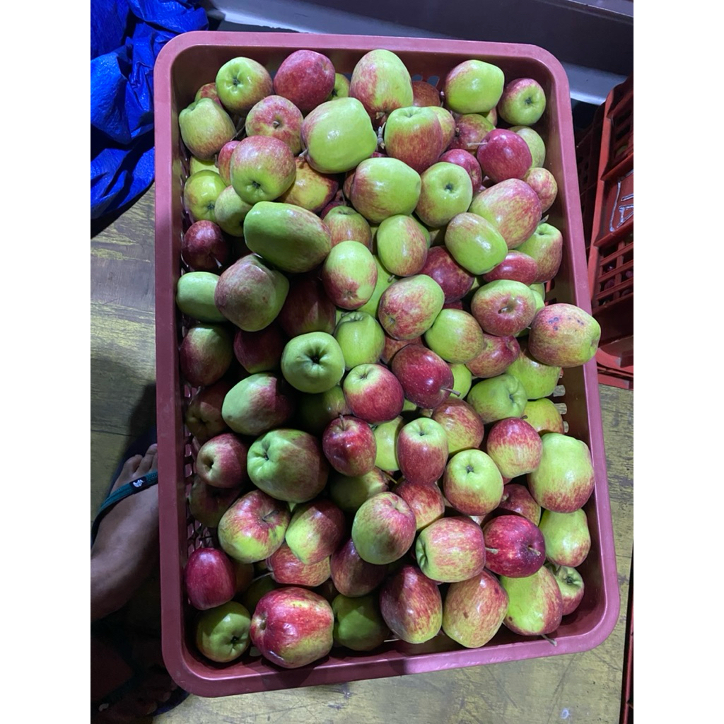 Apel Ana batu fresh 1Kg